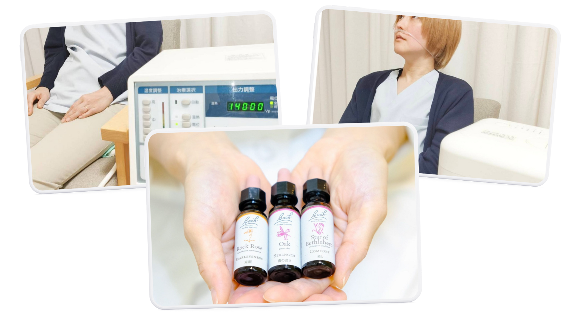 その他のメニュー