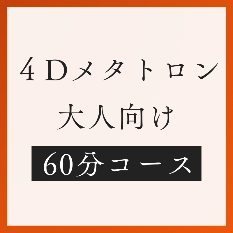 大人メタトロン60分コース