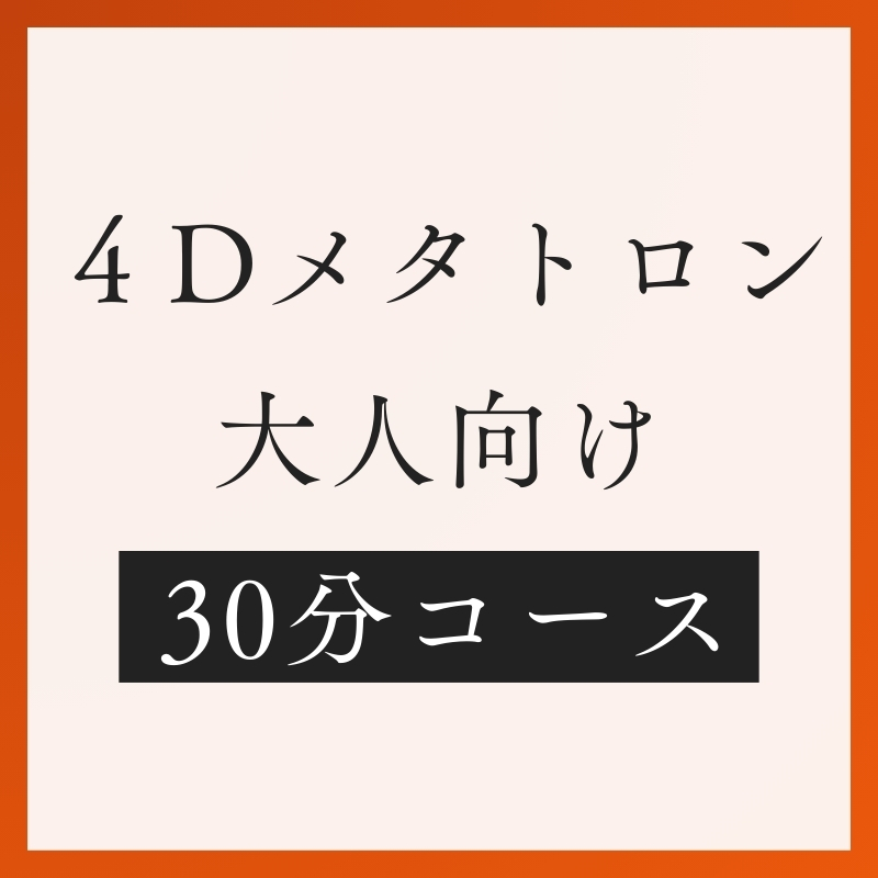 大人メタトロン30分コース
