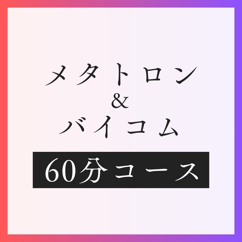 大人メタトロン・バイコム60分コース